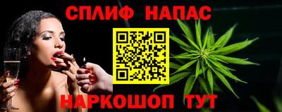 твердый Моздок