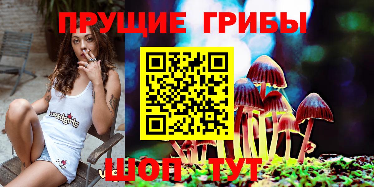 продажа наркотиков  Вход с VPN  Выборг  Галлюциногенные грибы мухоморы 